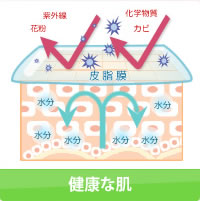 健康な肌を養うお手入れラクラクな化粧水