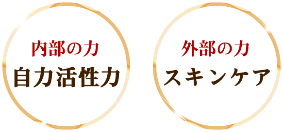 内部の力　自力活性力、外部の力　スキンケア、を実践する化粧水の無料お試し
