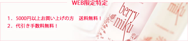 WEB限定特典