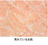 �畆�̒f��