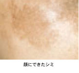 �畆�̒f��